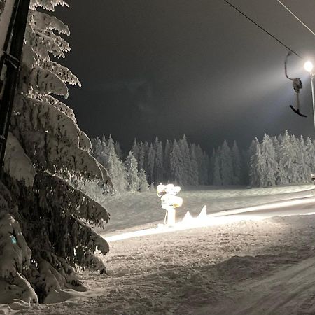 Fewo Jaeger Willingen  Kültér fotó