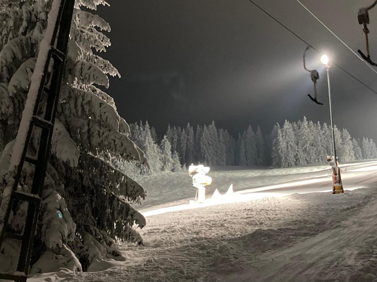 Fewo Jaeger Willingen  Kültér fotó